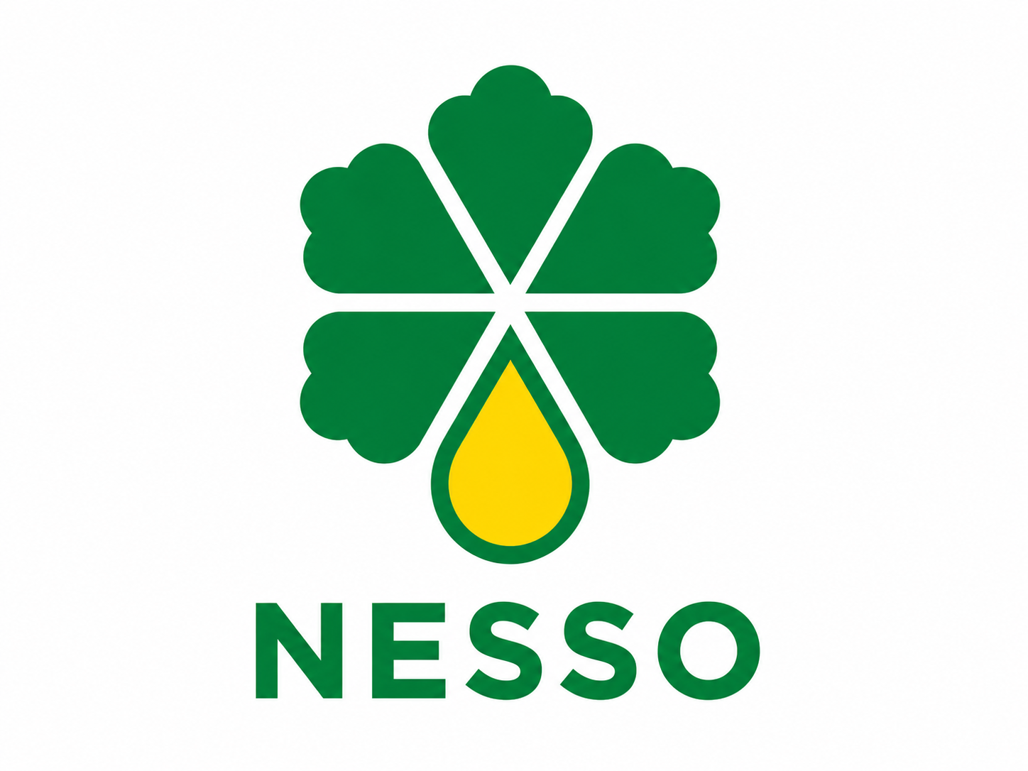 NESSO